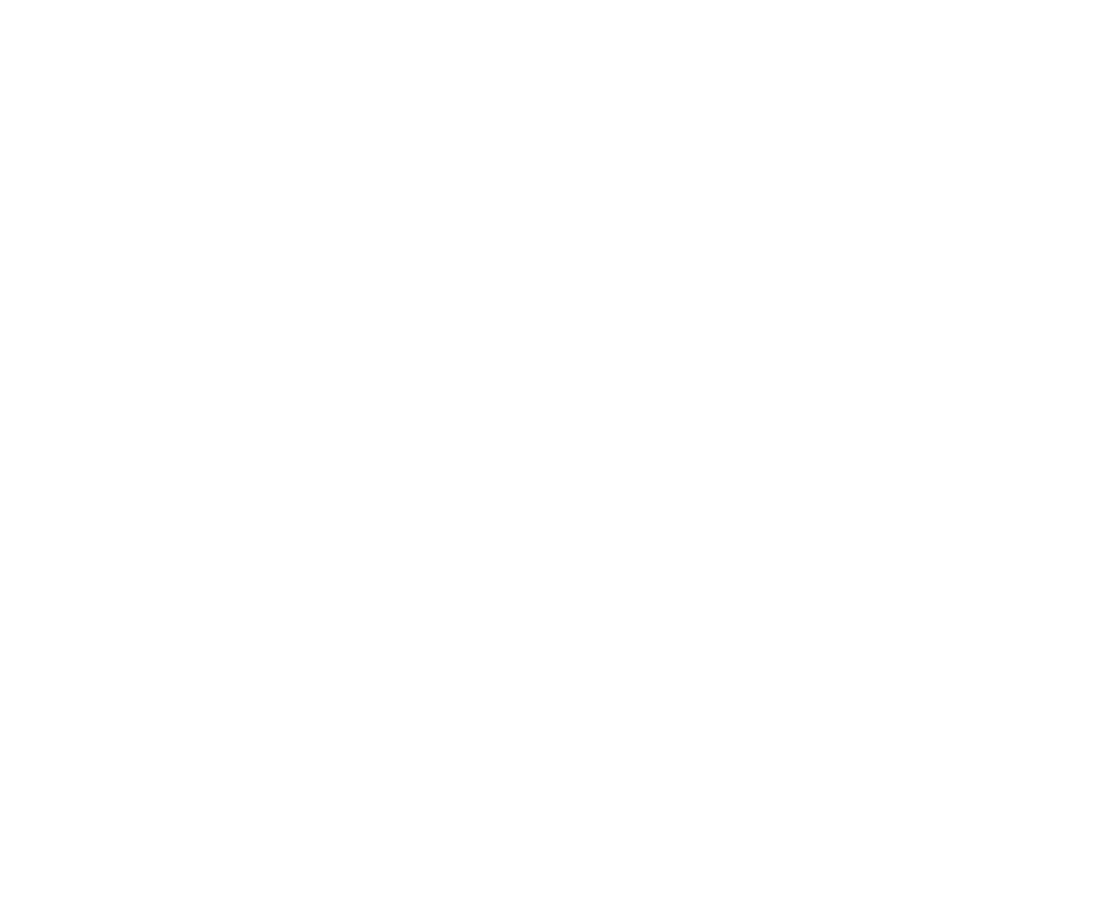 CNS Icon